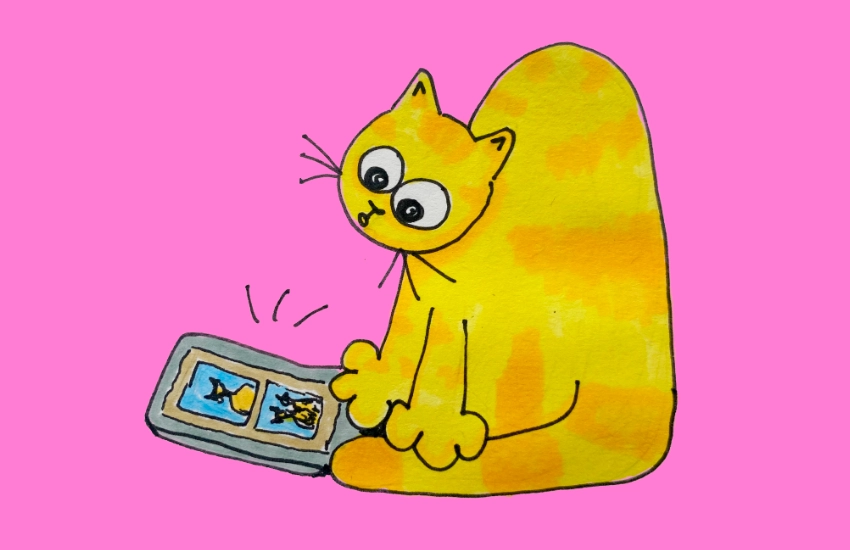 kat die wil stoppen met social media